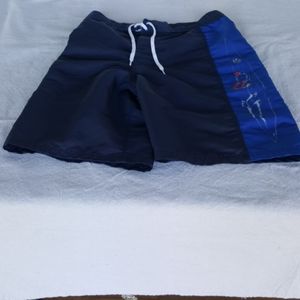 Hawaiian Island Creations Surf Board Shorts (32)